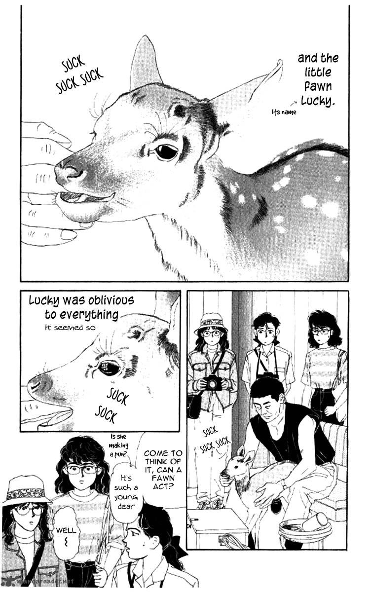 Doubutsu No Oishasan 52 24