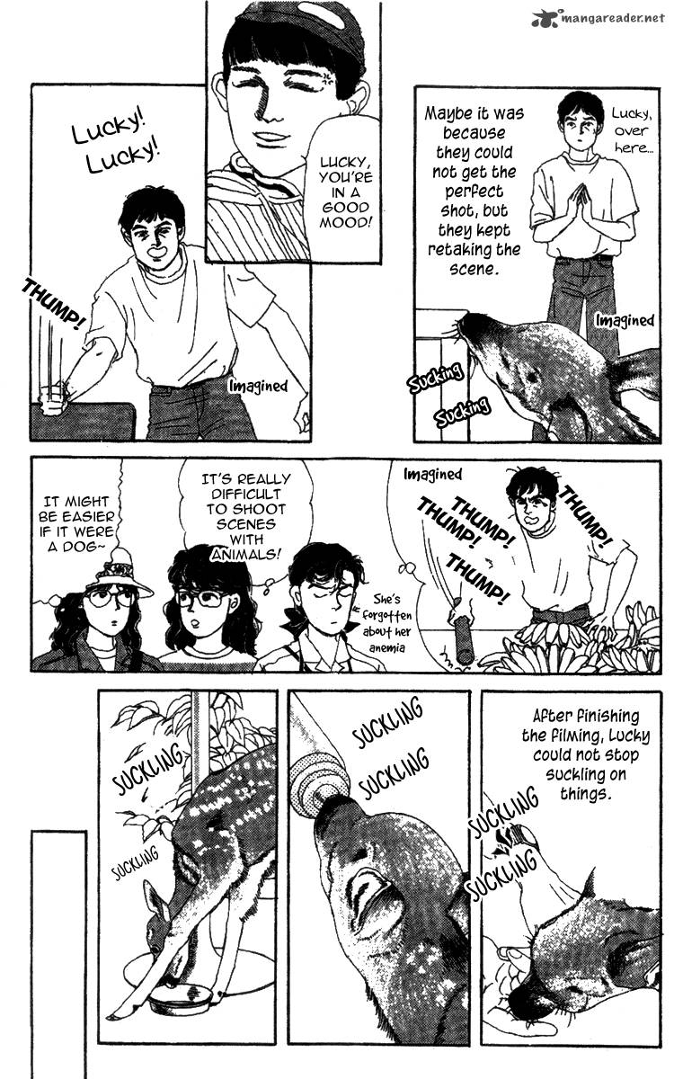 Doubutsu No Oishasan 52 28