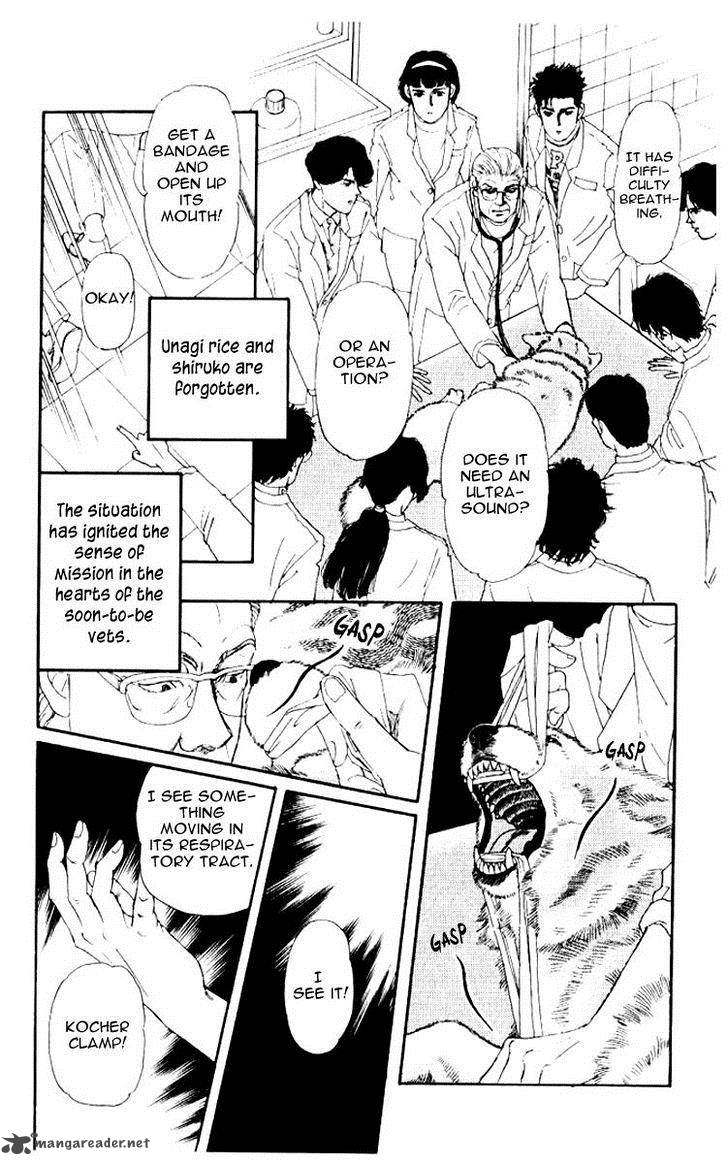 Doubutsu No Oishasan 53 16