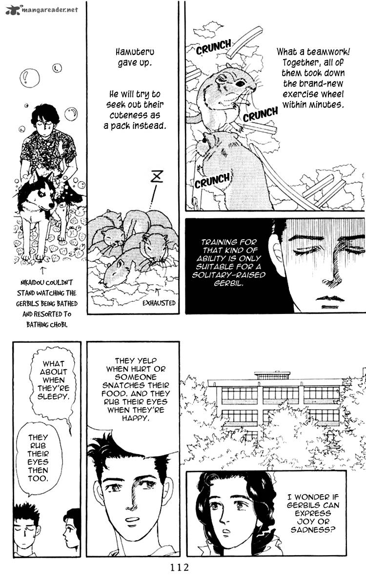 Doubutsu No Oishasan 58 17