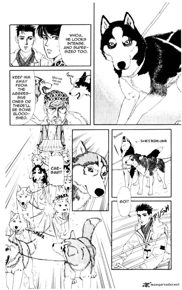 Doubutsu No Oishasan 66 17