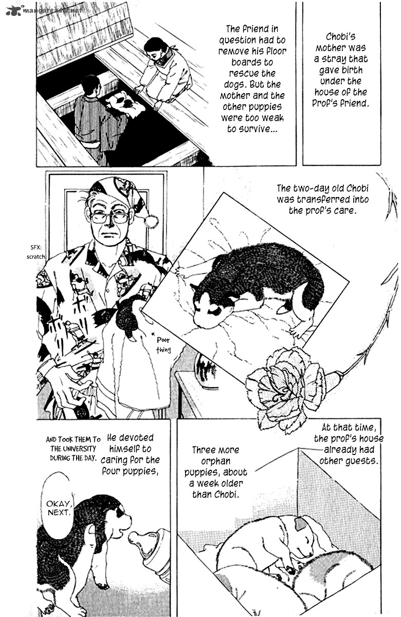 Doubutsu No Oishasan 72 13