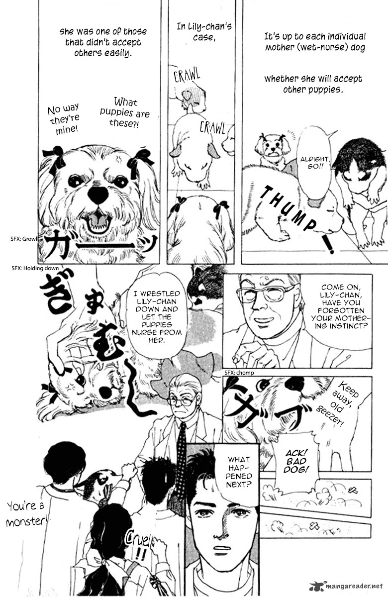 Doubutsu No Oishasan 72 17