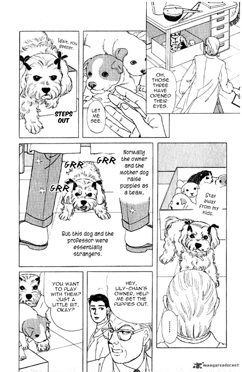 Doubutsu No Oishasan 72 19