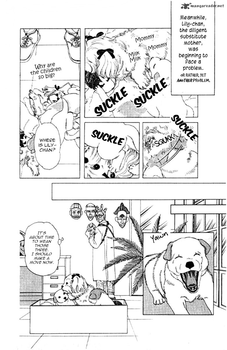 Doubutsu No Oishasan 72 21