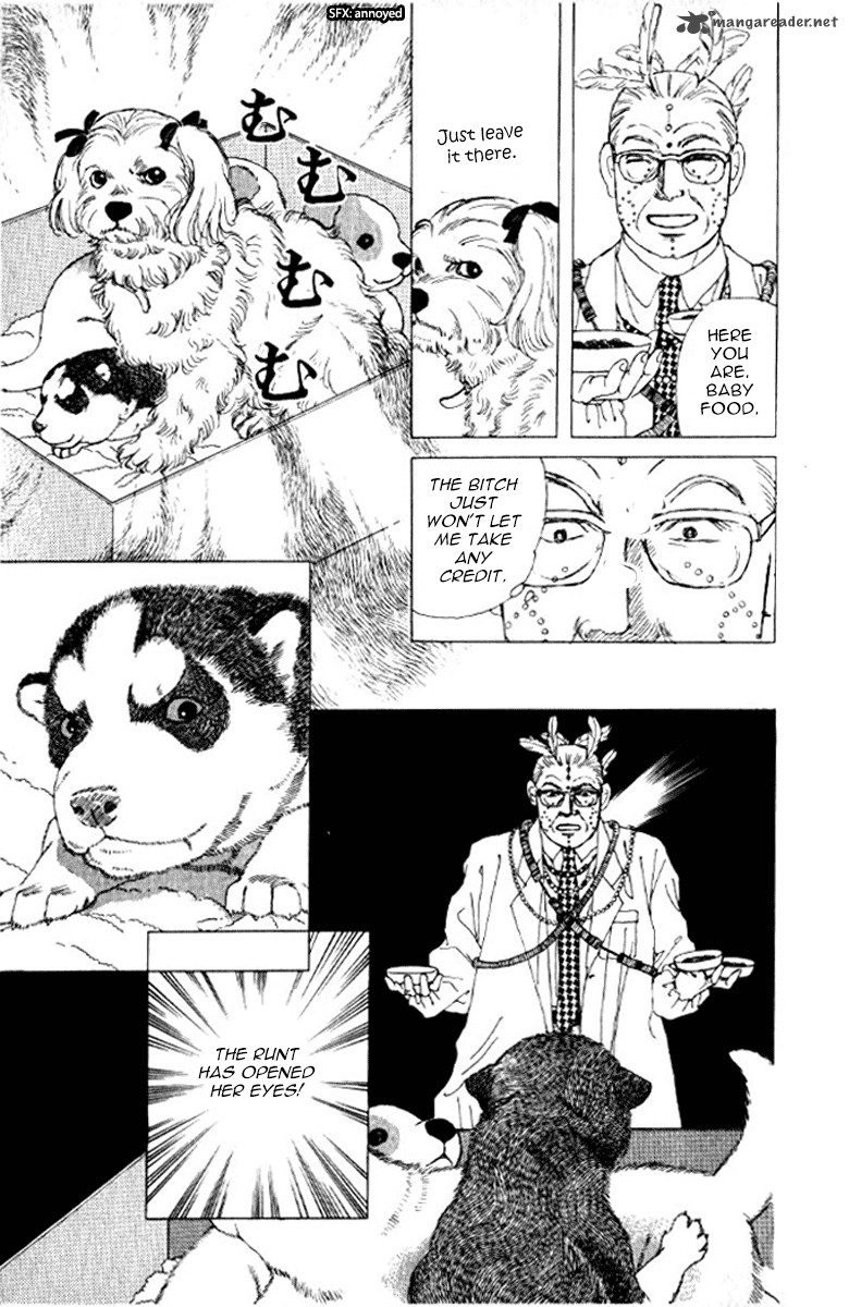 Doubutsu No Oishasan 72 22