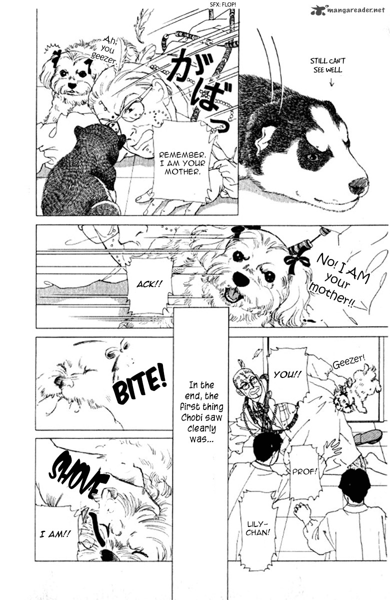 Doubutsu No Oishasan 72 23