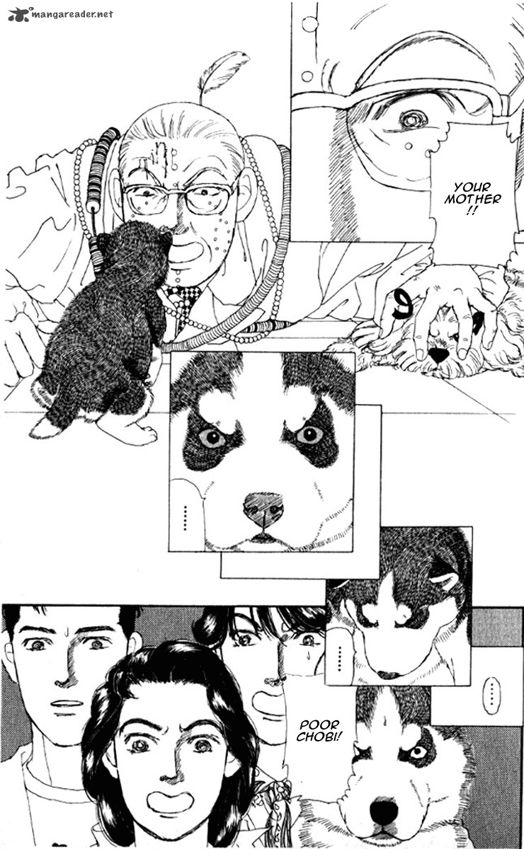 Doubutsu No Oishasan 72 24