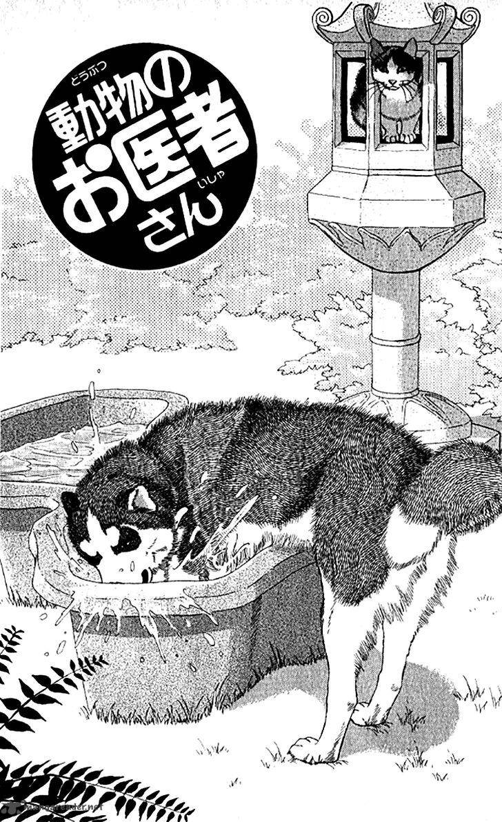 Doubutsu No Oishasan 75 3