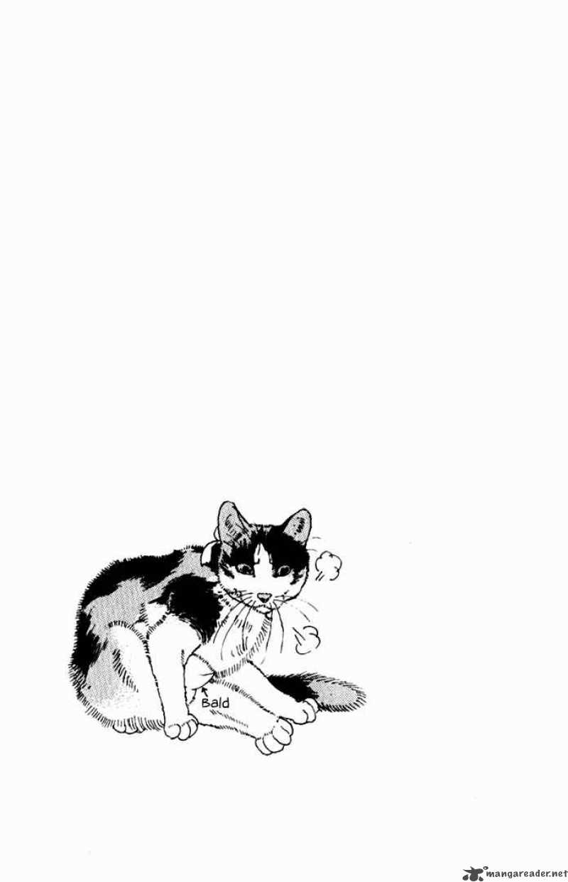Doubutsu No Oishasan 8 17