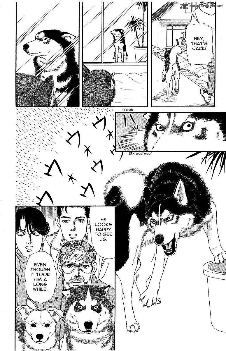 Doubutsu No Oishasan 84 16