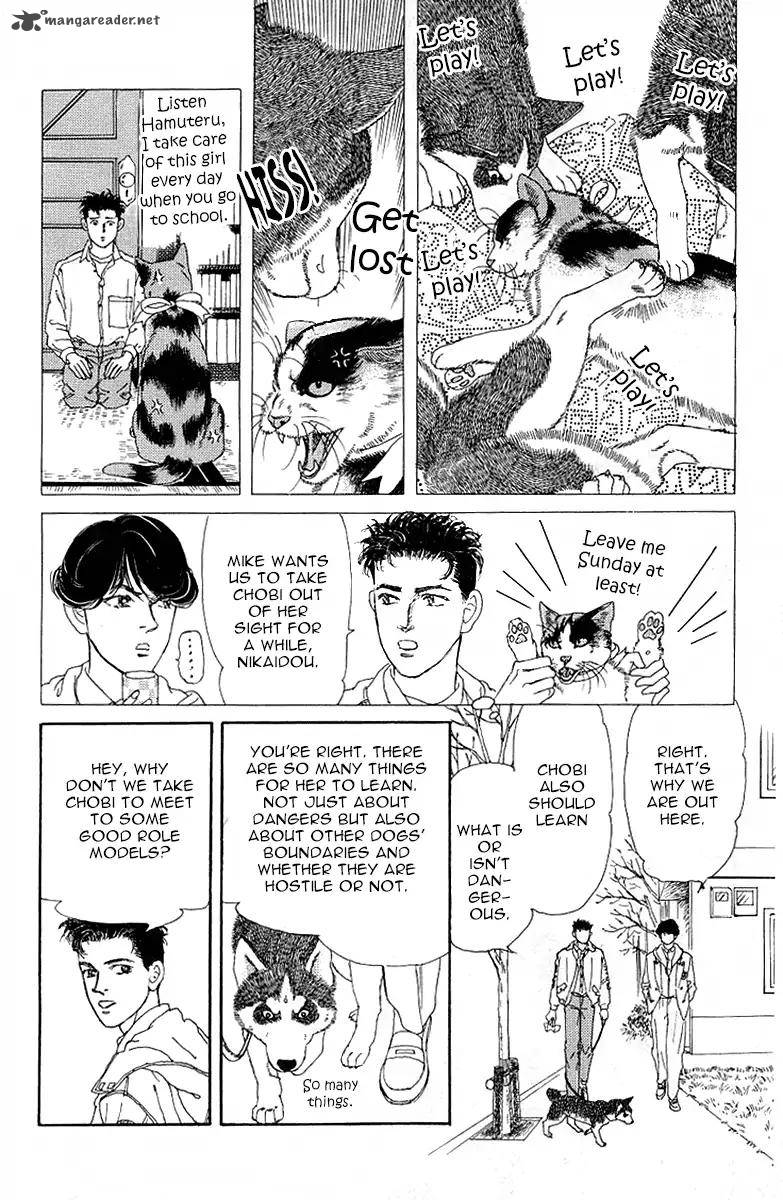 Doubutsu No Oishasan 89 10