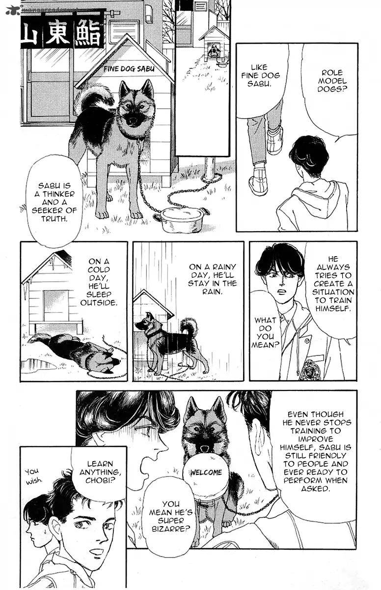 Doubutsu No Oishasan 89 11