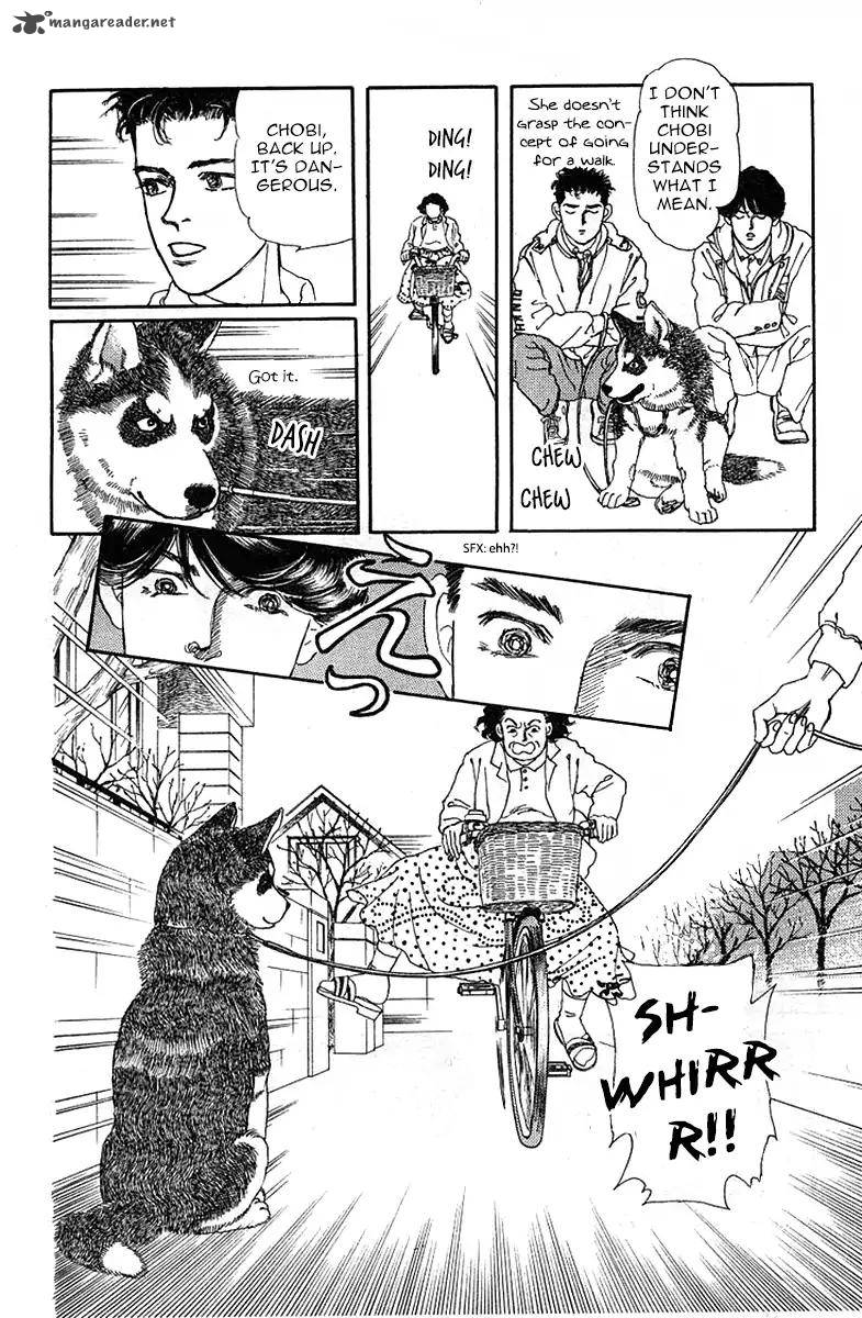 Doubutsu No Oishasan 89 8