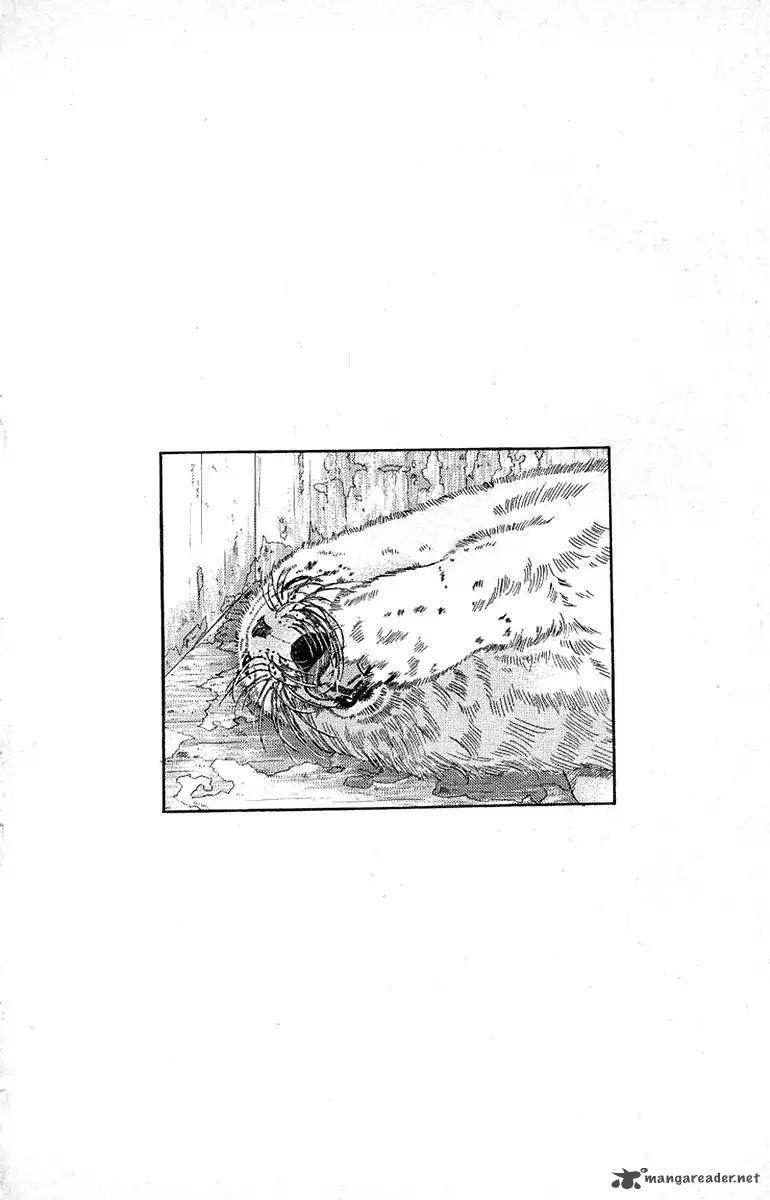 Doubutsu No Oishasan 90 3
