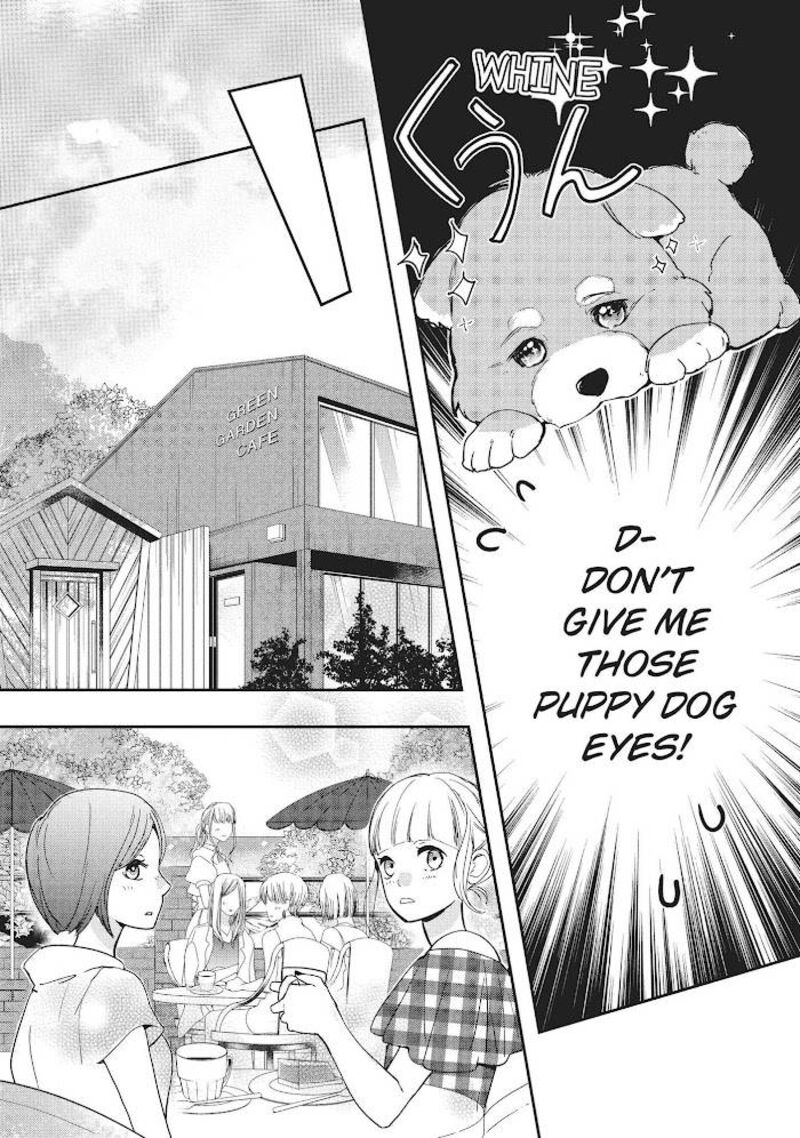 Douse Koishite Shimaunda 7 12