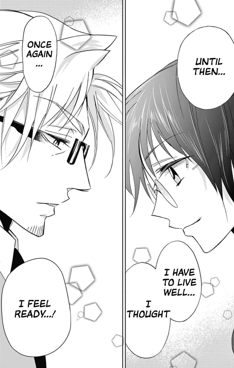 Dousei Sensei Wa Renai Ga Wakaranai 46 8