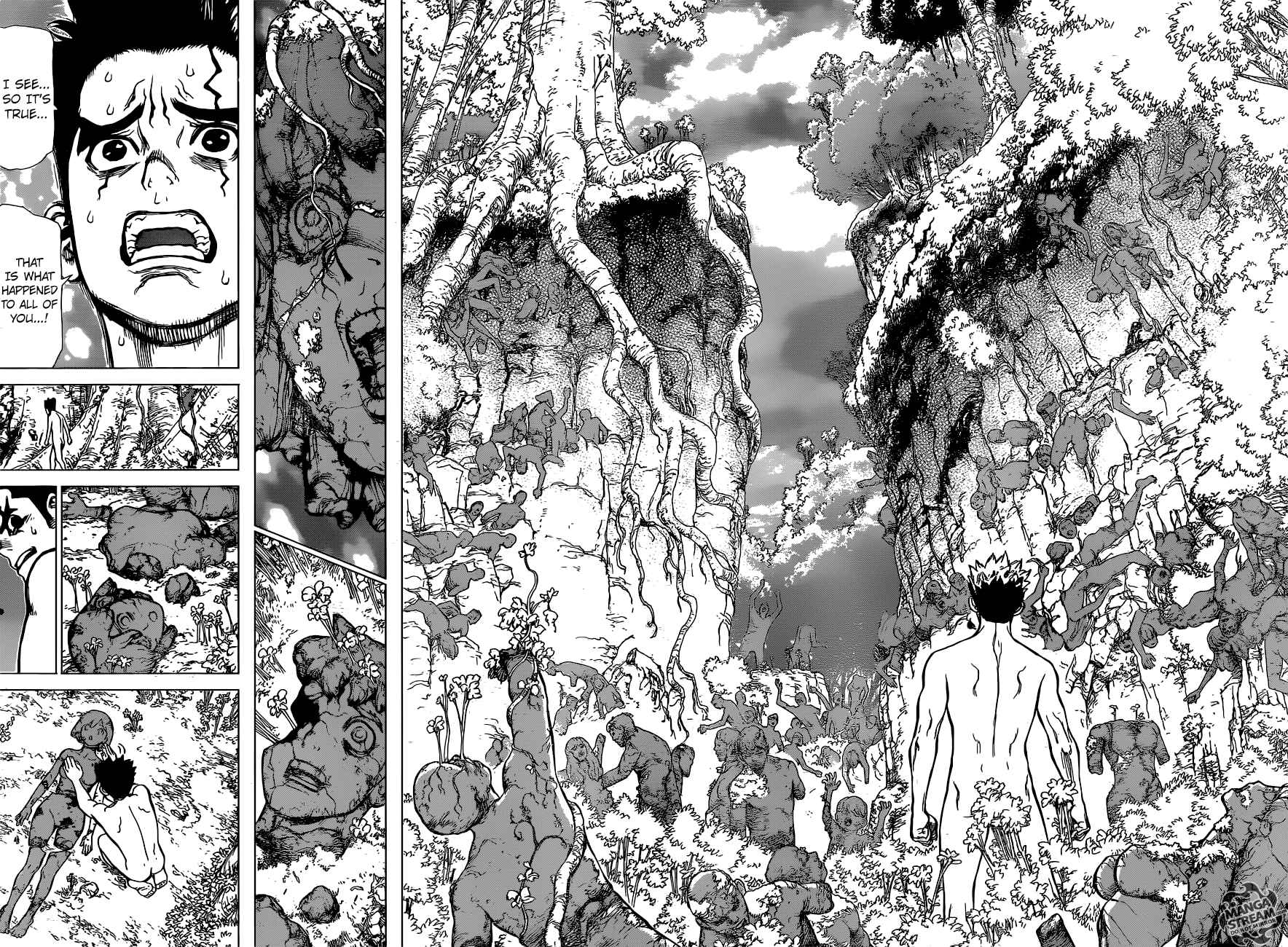 Dr Stone 1 31