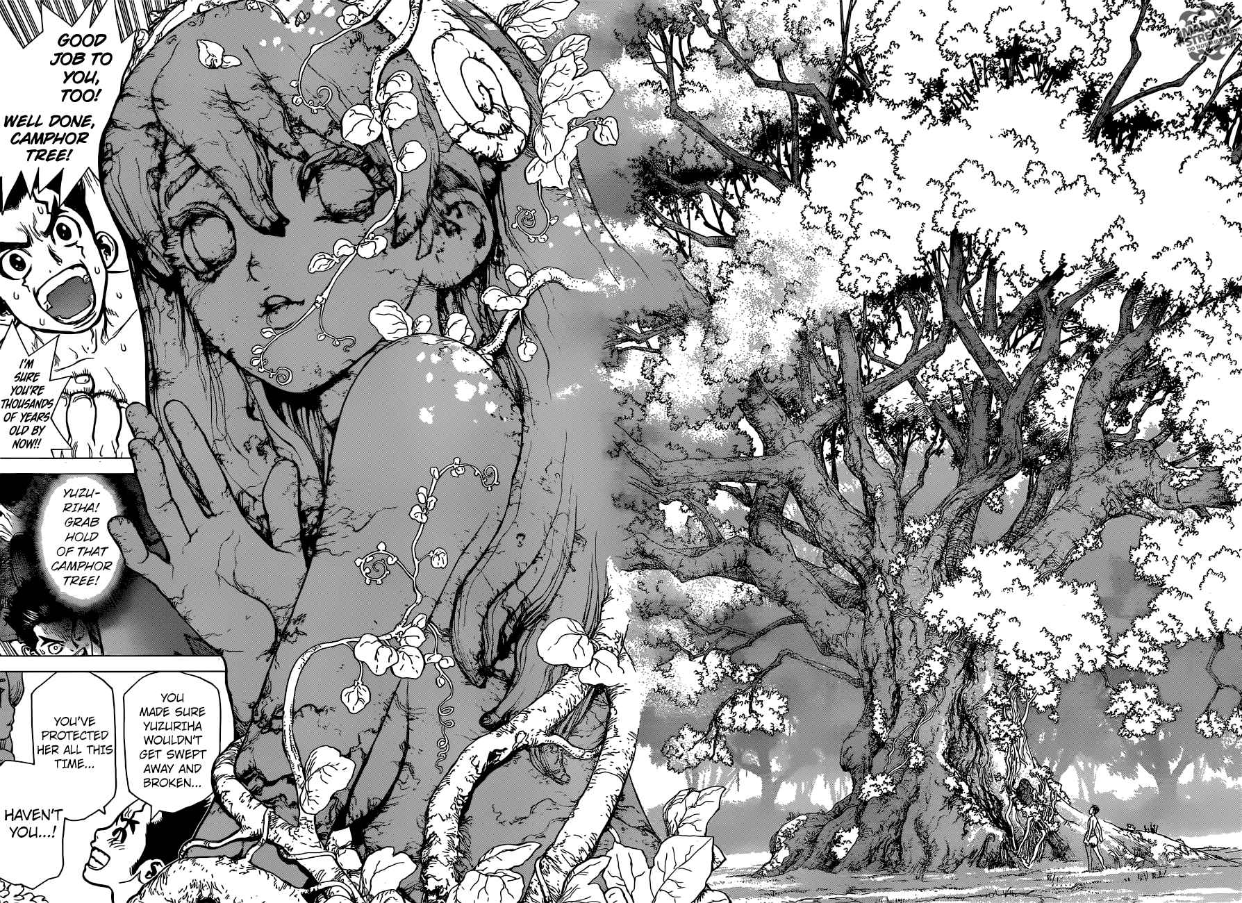 Dr Stone 1 34