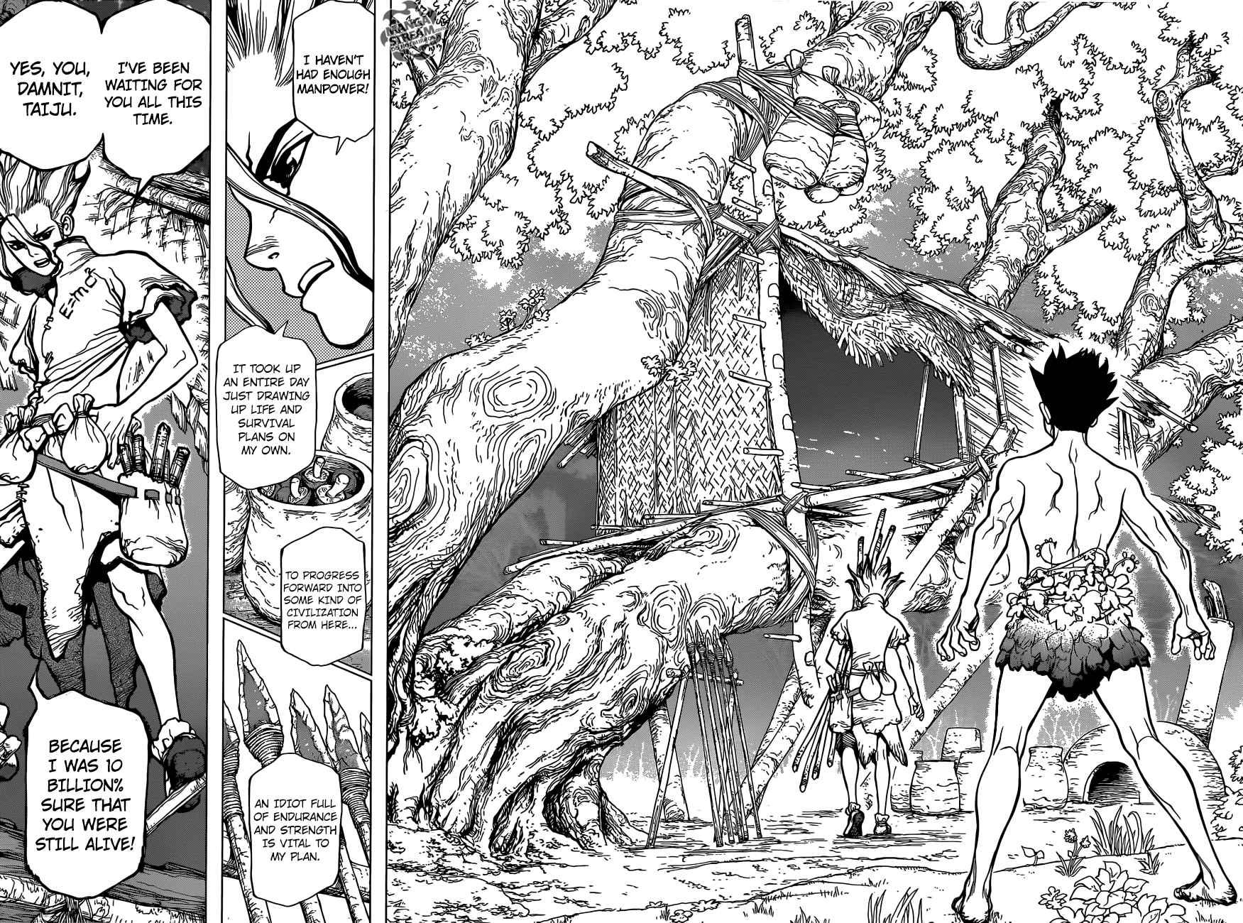 Dr Stone 1 43