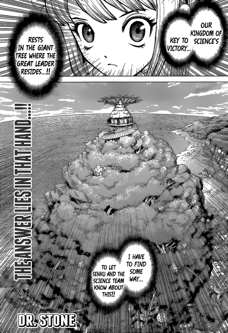 Dr Stone 113 1
