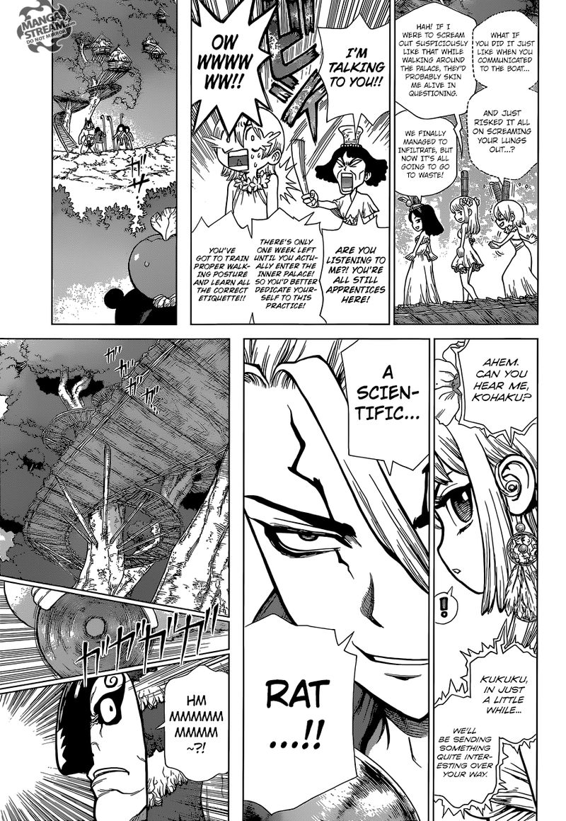 Dr Stone 113 3