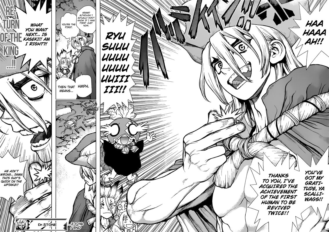 Dr Stone 116 17