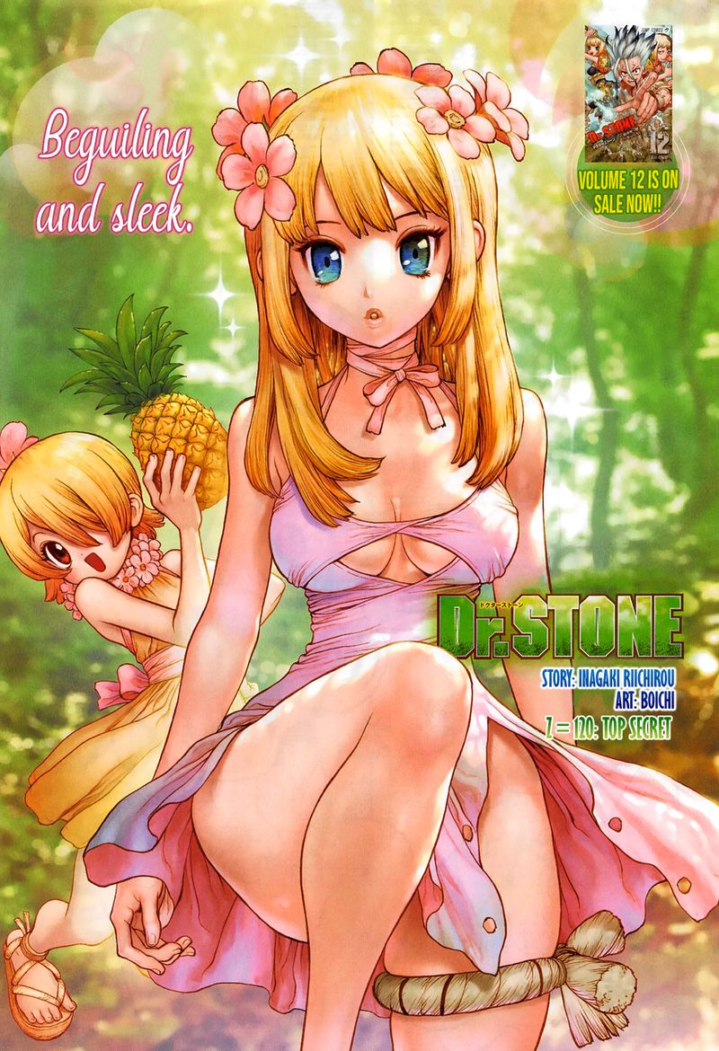 Dr Stone 120 1
