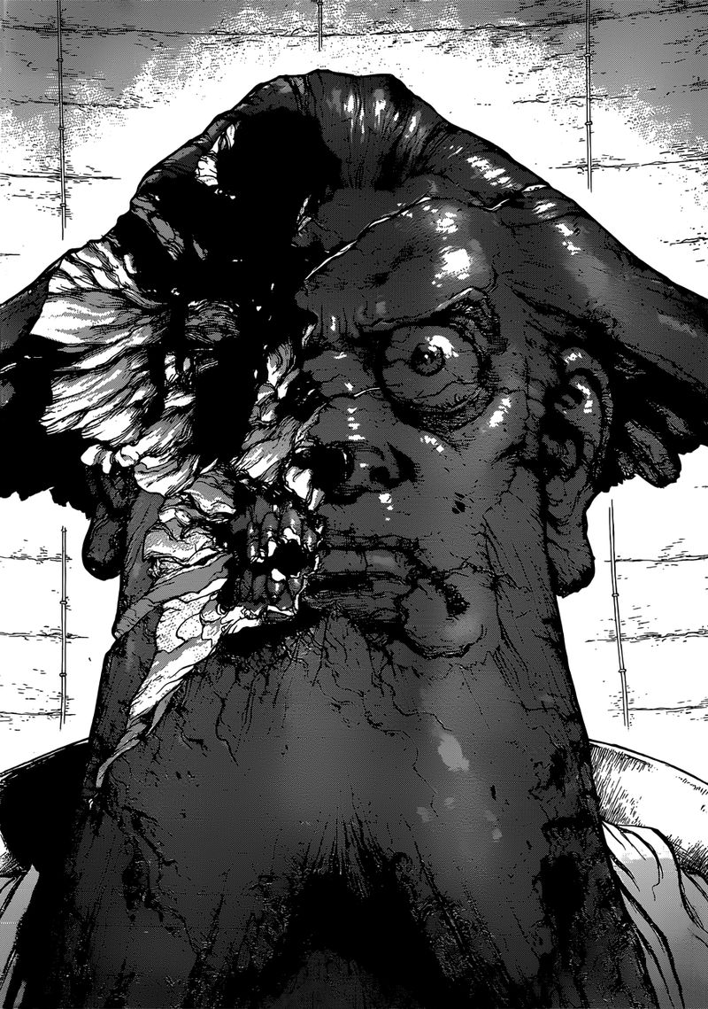 Dr Stone 120 17