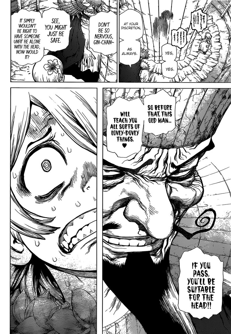 Dr Stone 120 8