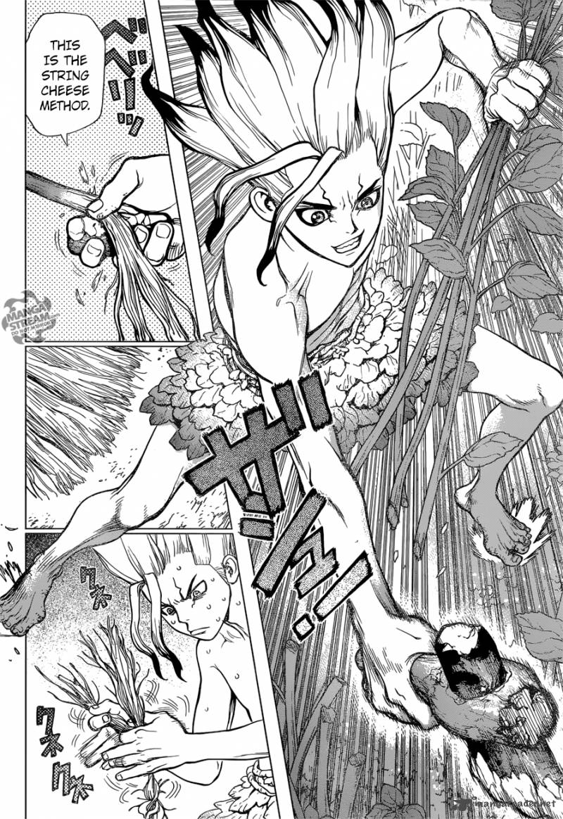 Dr Stone 13 13