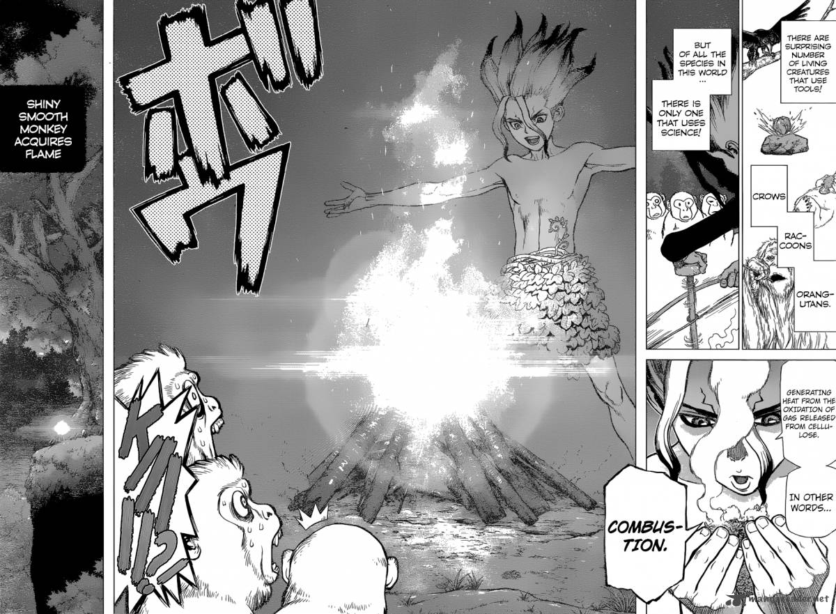 Dr Stone 13 15
