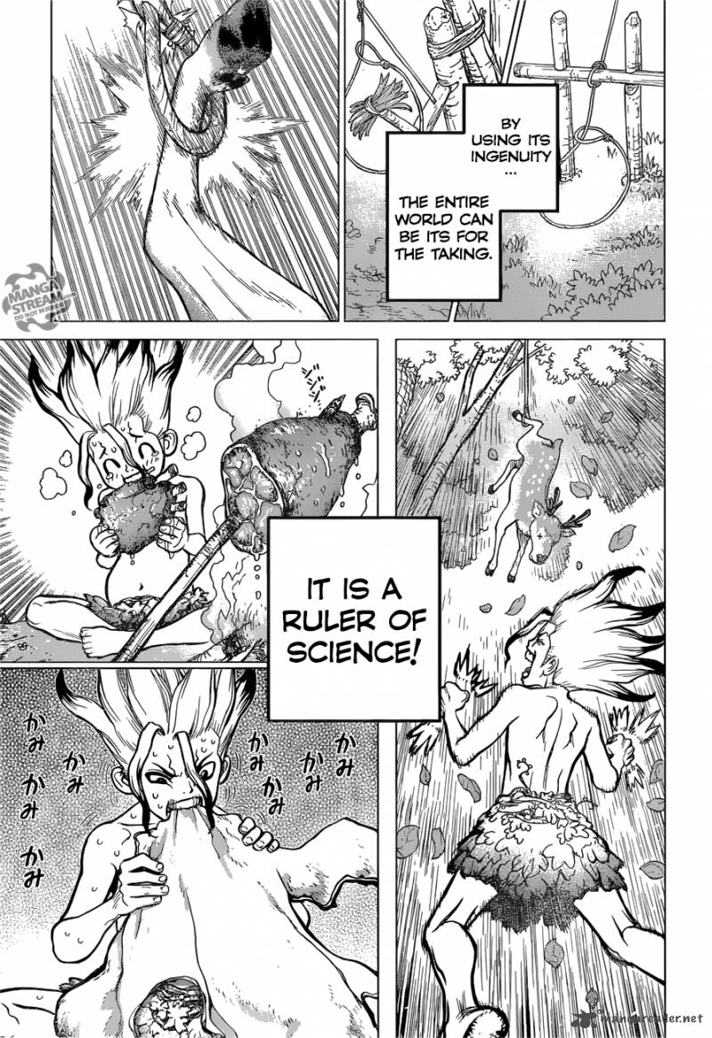 Dr Stone 13 17