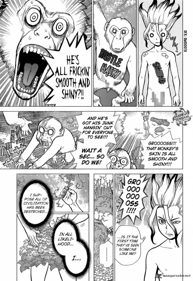 Dr Stone 13 5