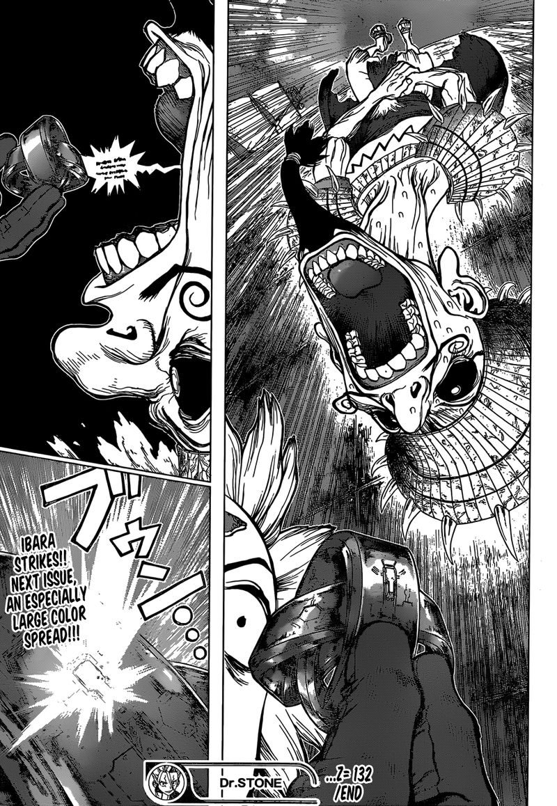 Dr Stone 132 17