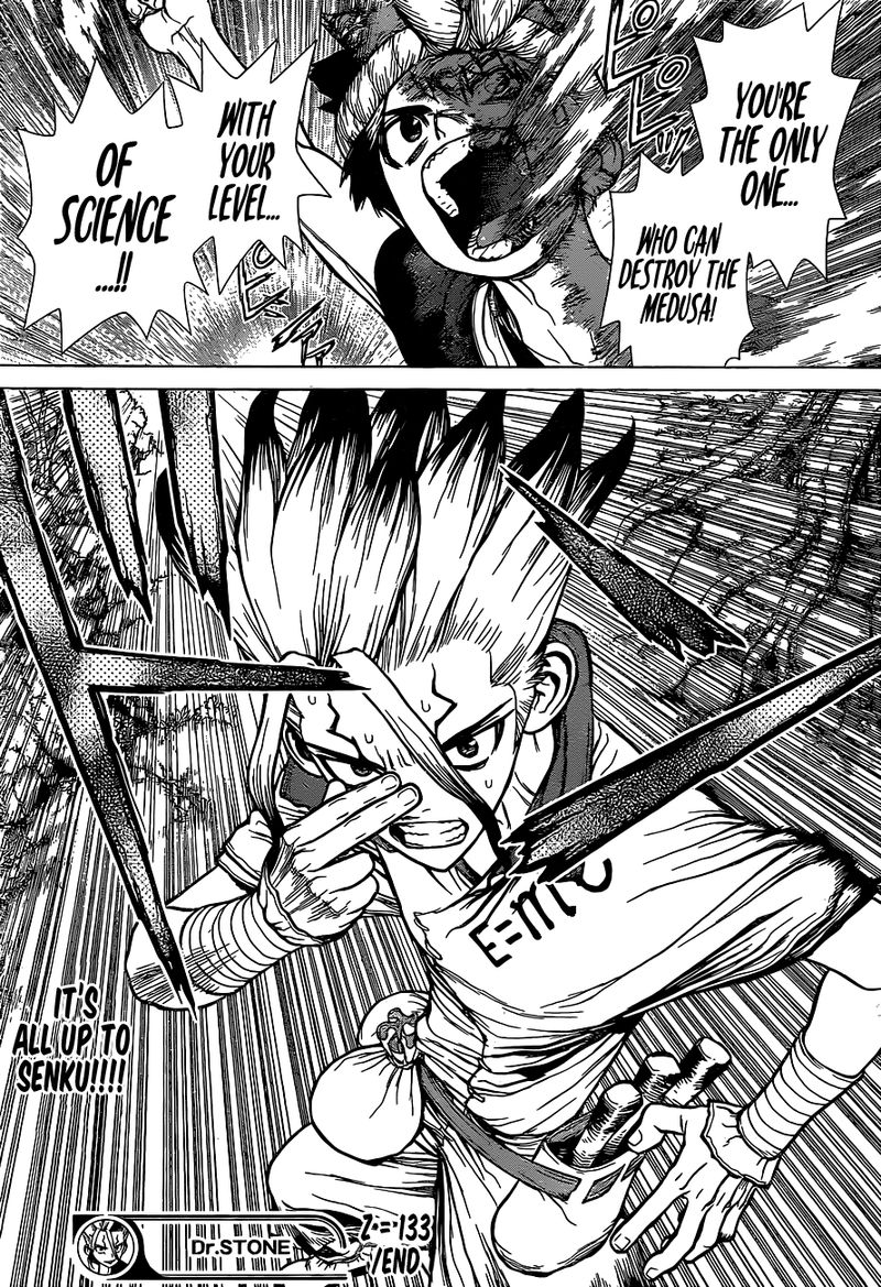 Dr Stone 133 17