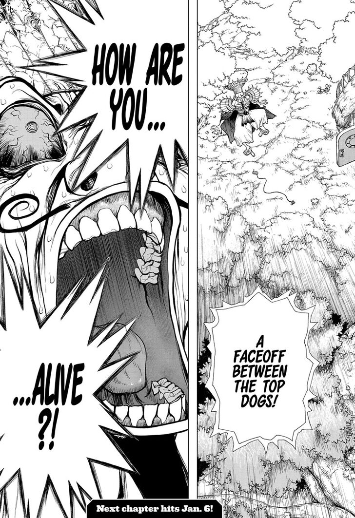 Dr Stone 134 19