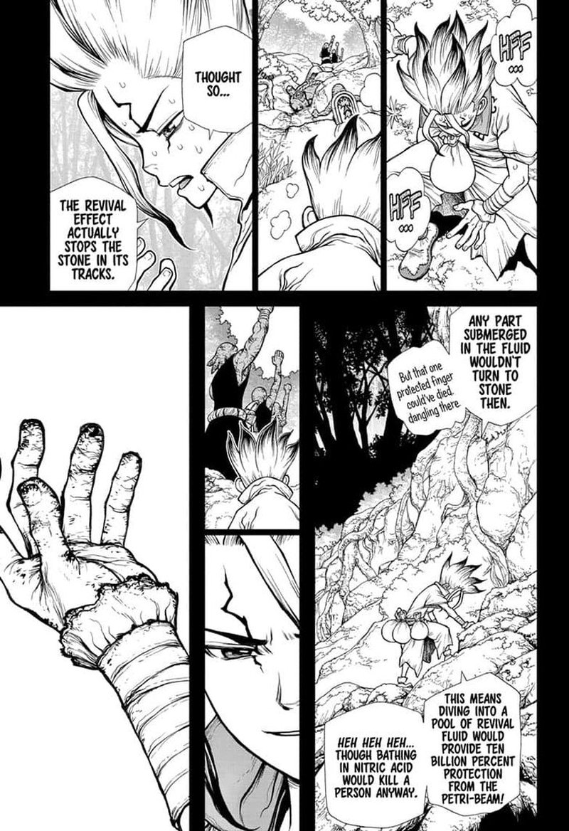 Dr Stone 135 11