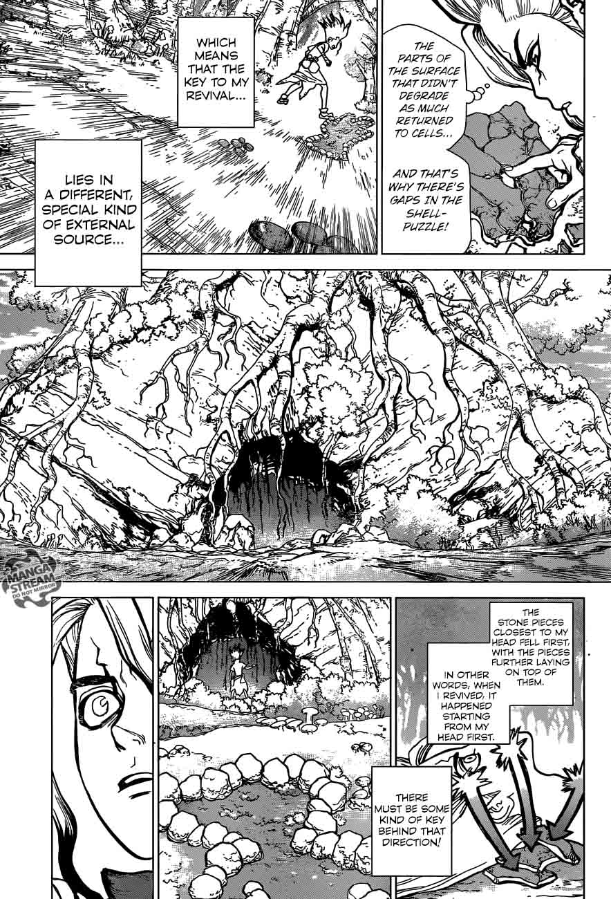 Dr Stone 14 8