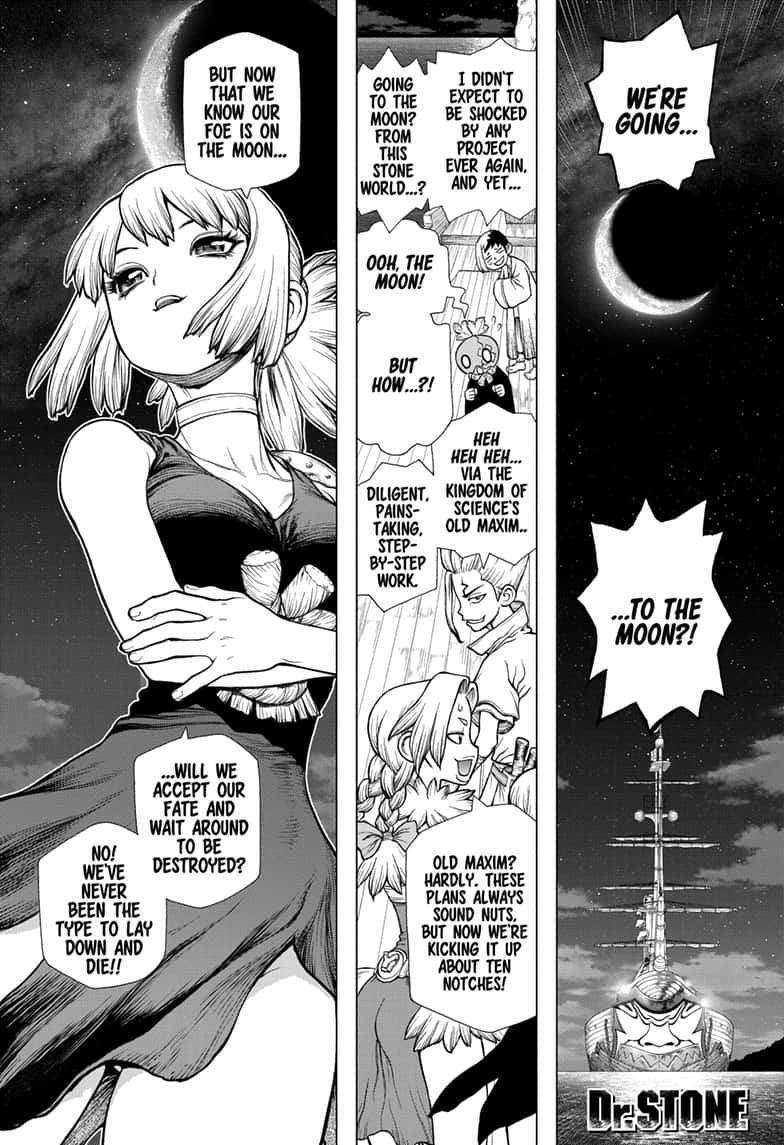 Dr Stone 140 1