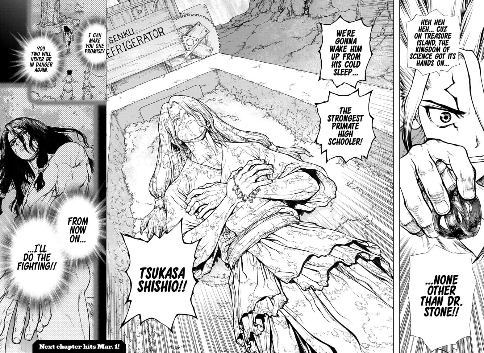 Dr Stone 140 15
