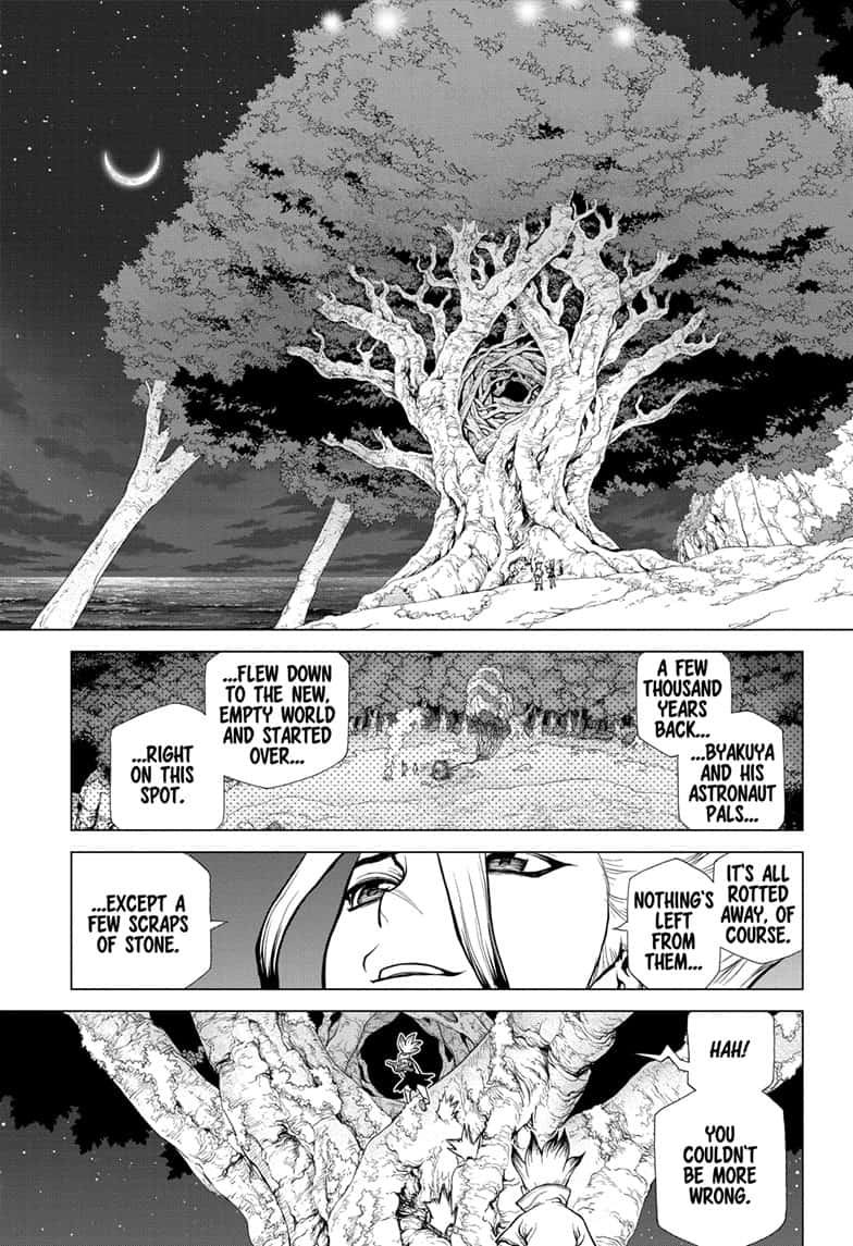 Dr Stone 140 7