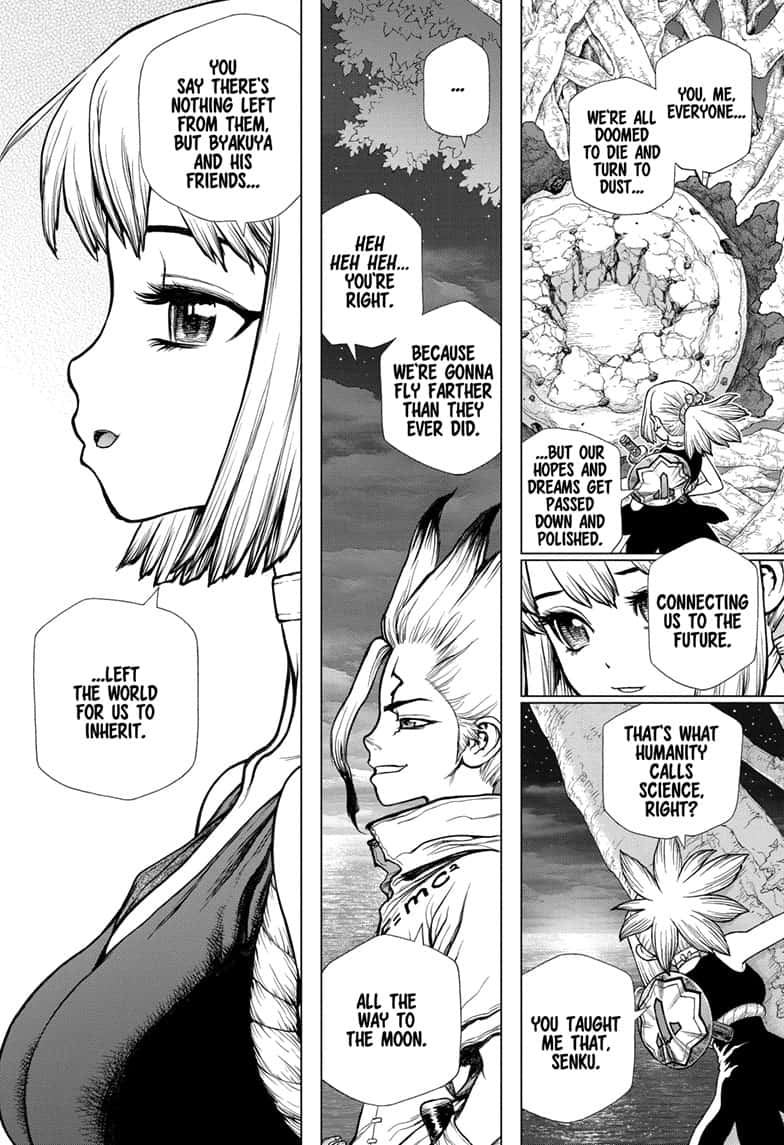Dr Stone 140 8
