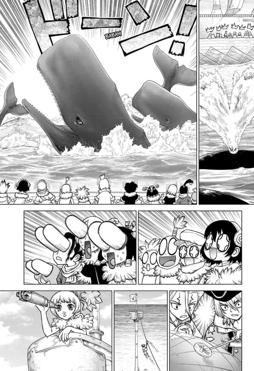 Dr Stone 147 18