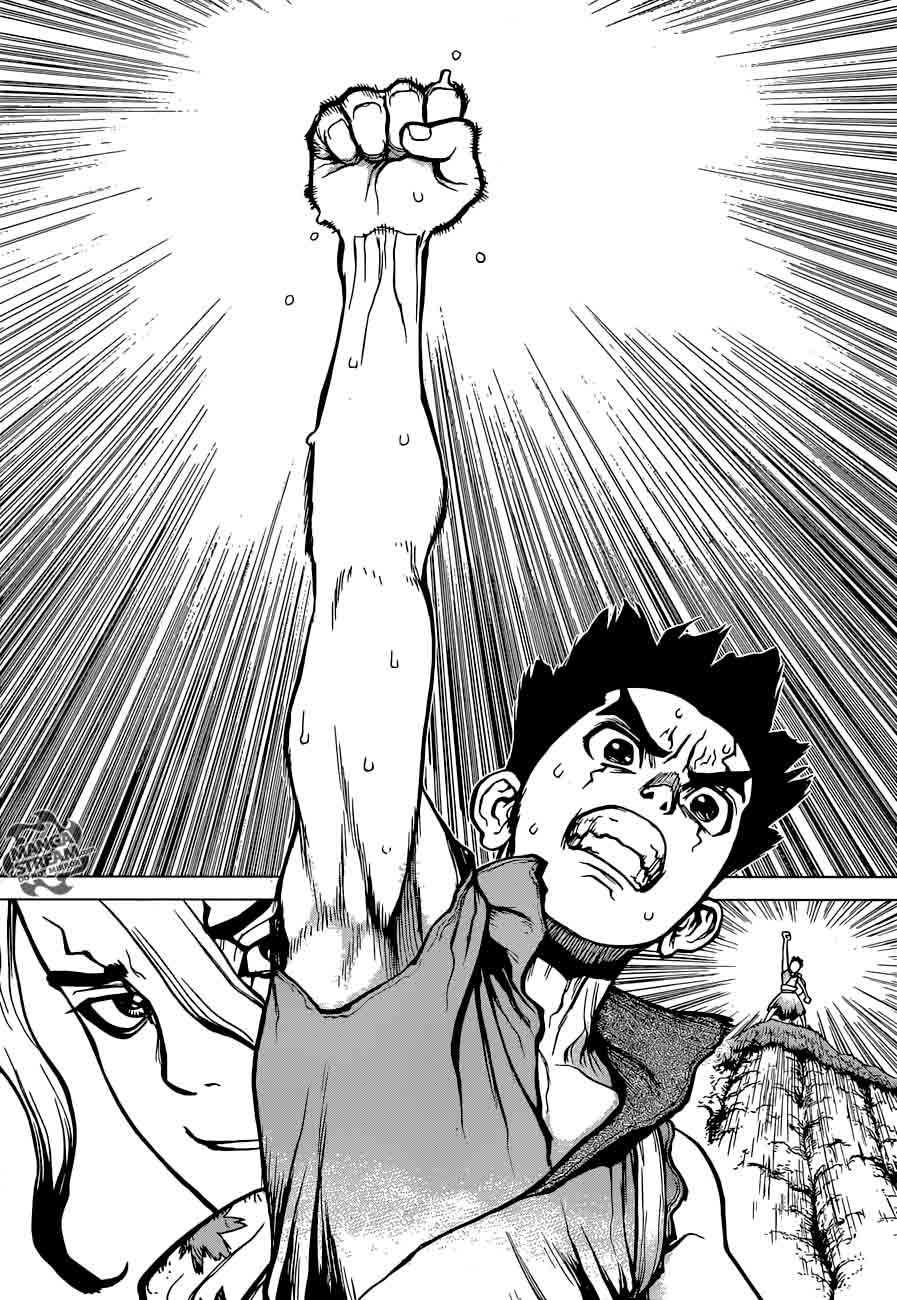 Dr Stone 15 17