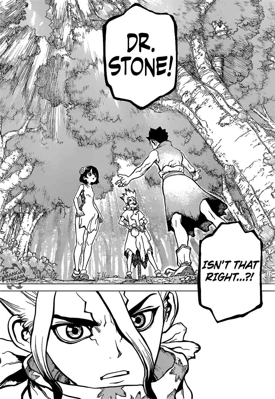Dr Stone 15 8