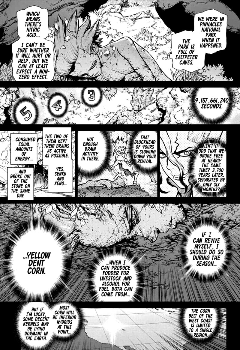 Dr Stone 157 14