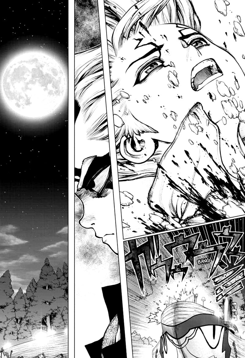 Dr Stone 160 1