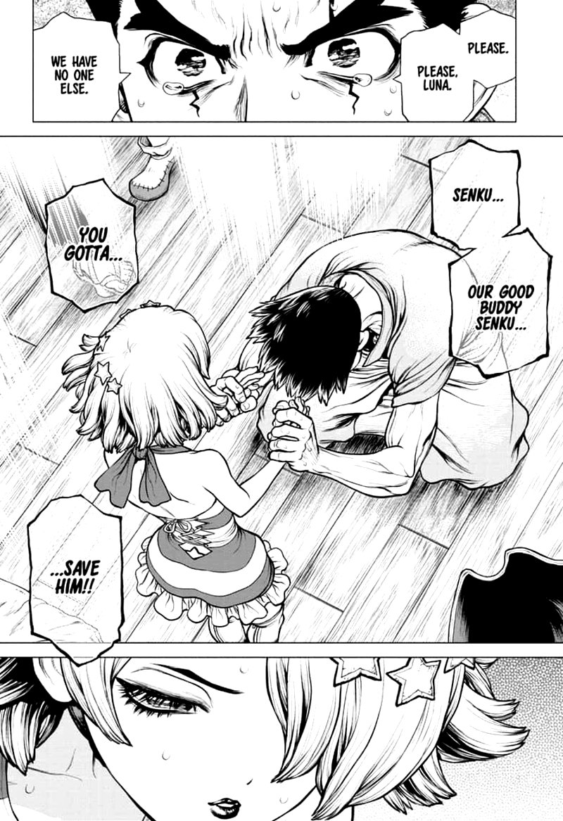 Dr Stone 160 10