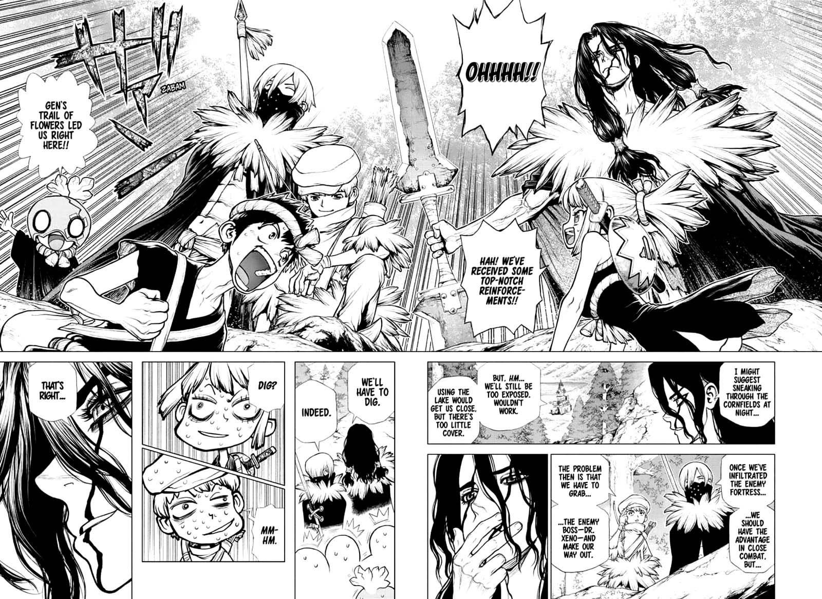 Dr Stone 160 12